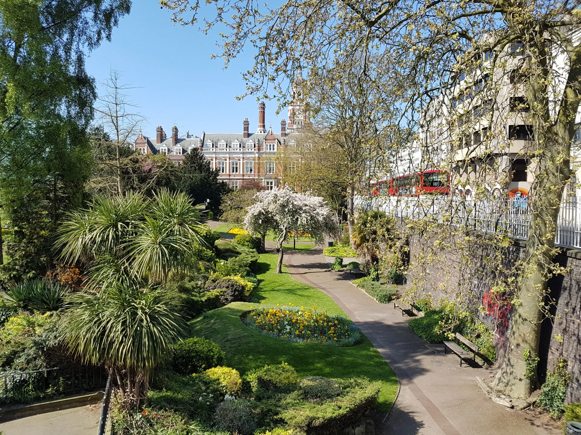 Sunny garden path with blooming trees, shrubs, and a row of buildings in the background