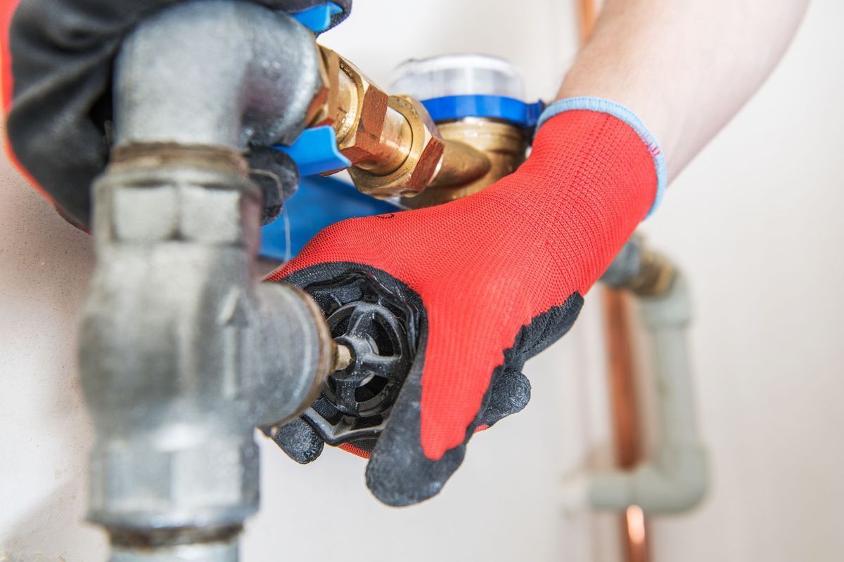 Professional backflow testing