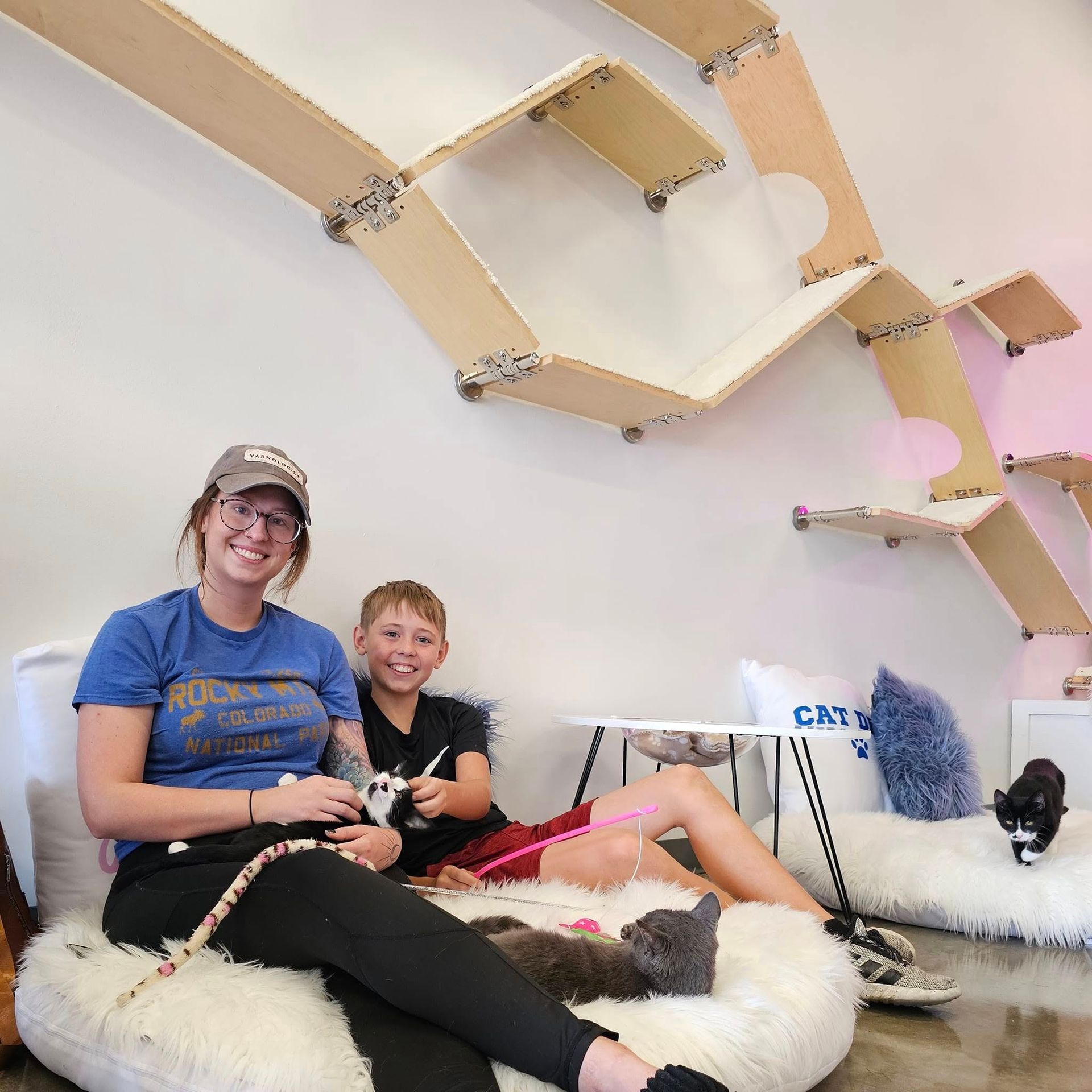 Woman and boy smiling while playing with kittens on floor cushions beneath large, wall-mounted modular cat shelf system.