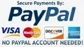 Logo for PayPal under the text 'Secure Payments By,' followed by logos for Visa, Mastercard, Discover, and American Express.