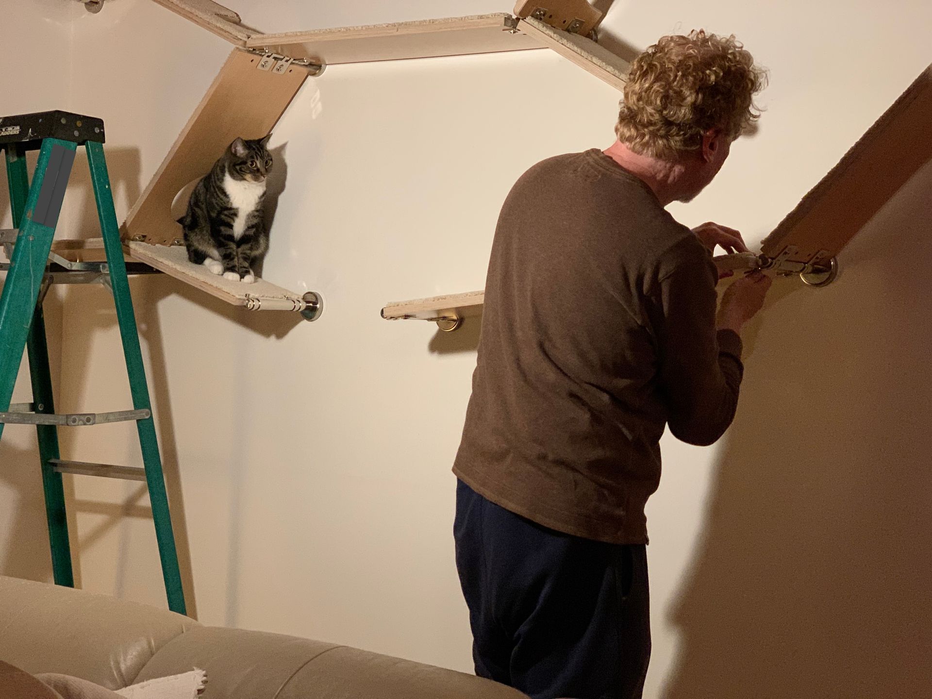 Aaron Feldman in brown shirt adjusts hardware of a modular cat wall shelf while a tabby cat watches from a platform nearby.