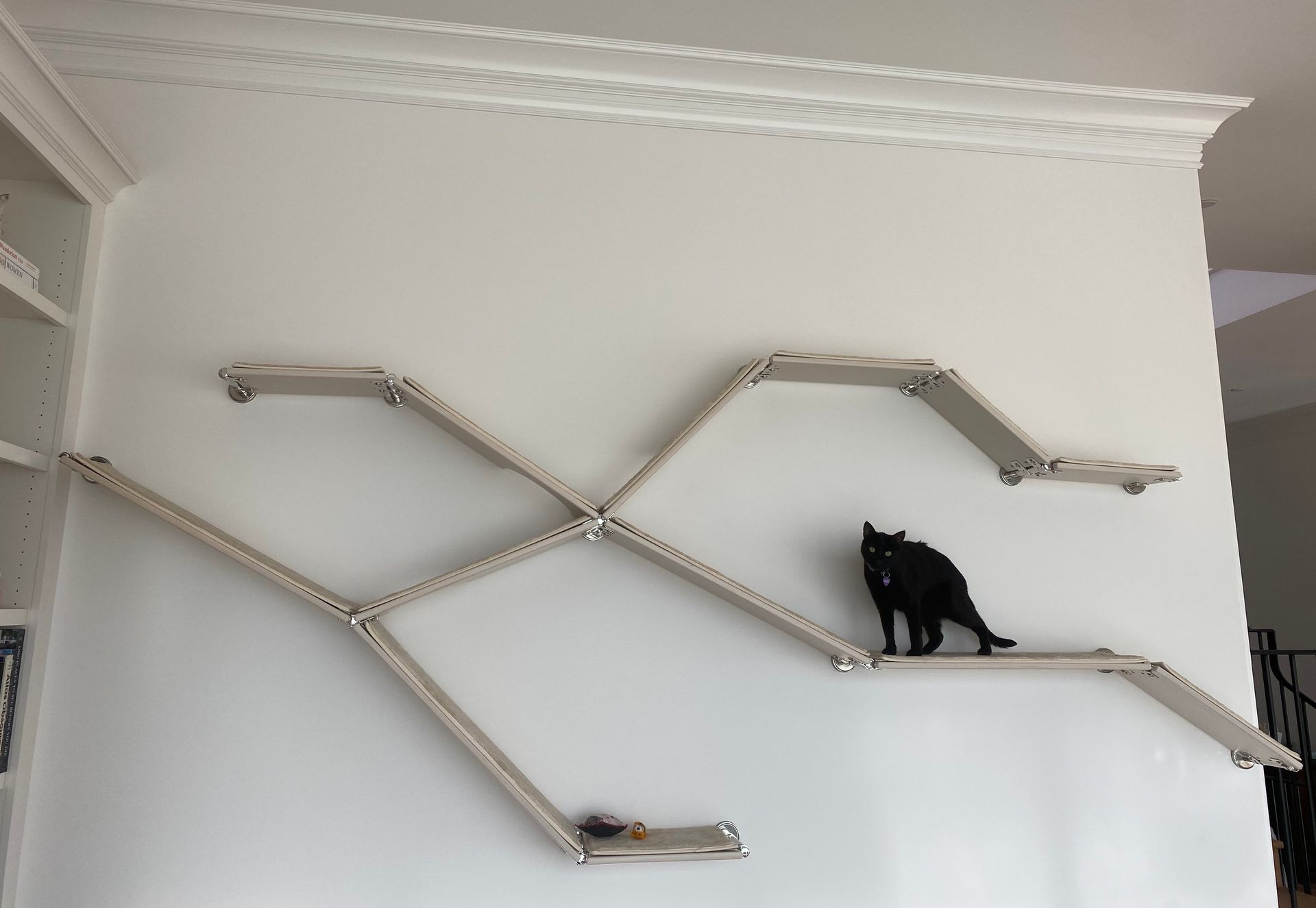 Black cat stands on modern modular cat furniture with intersecting ramps and horizontal shelves across a wide white wall.