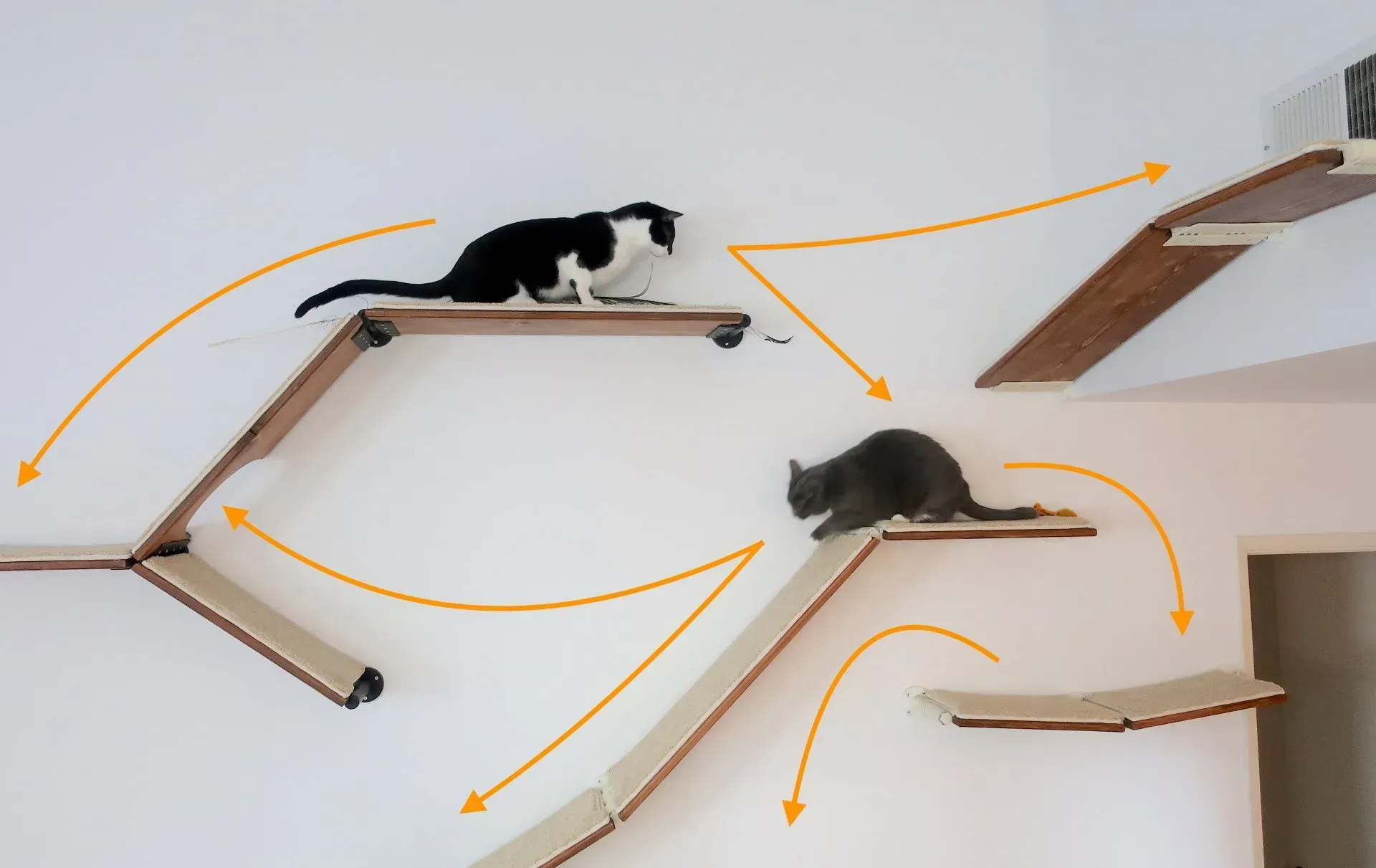 Diagram showing a cat's path of travel between cat wall shelves with directional arrows.