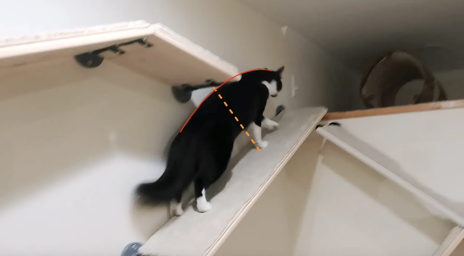 Black and white cat walking up a carpeted modular ramp, with orange graphic lines illustrating shelf's angle and clearance.