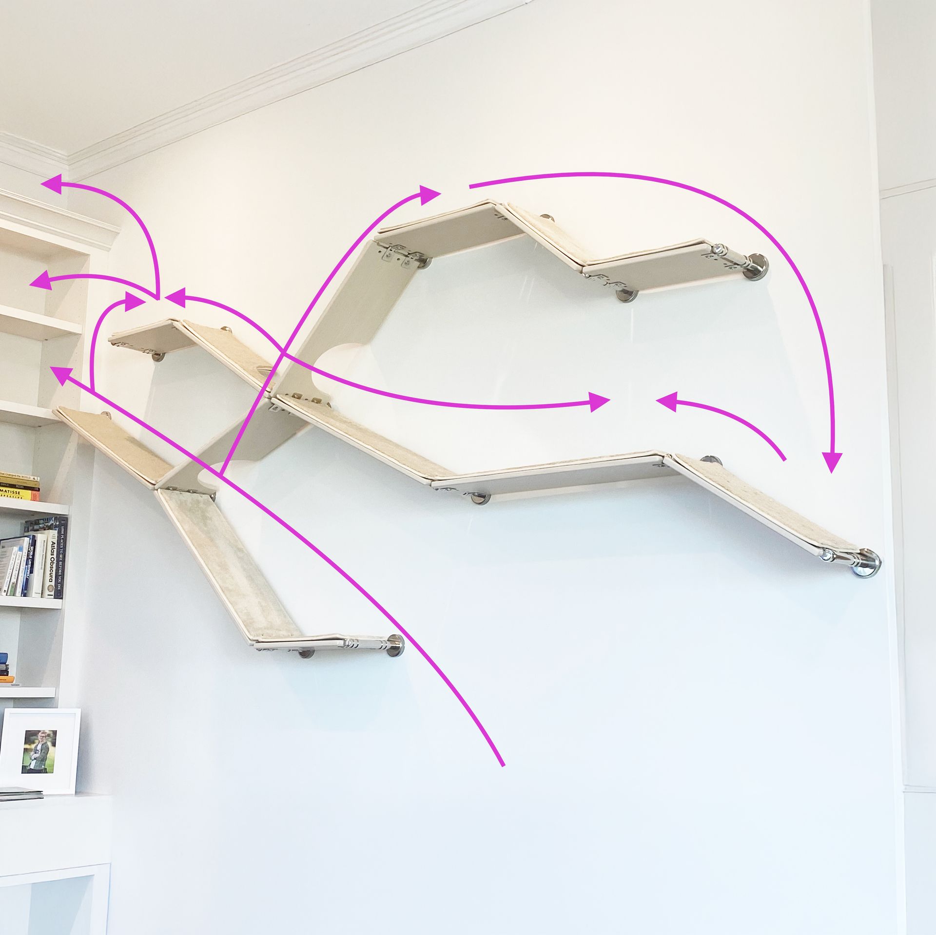 Modern cat climbing wall with purple arrows indicating movement paths and jumping routes between wooden shelves.