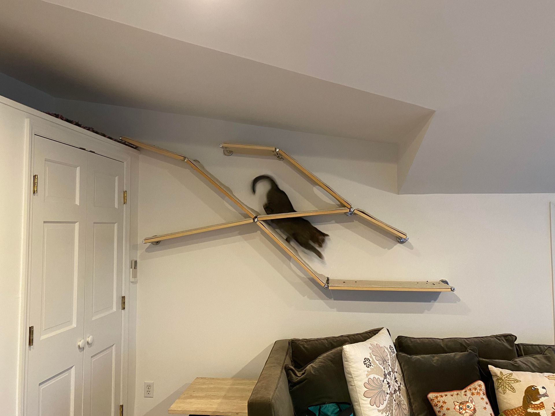 Black cat running across a CatScapes floating cat shelf installation.
