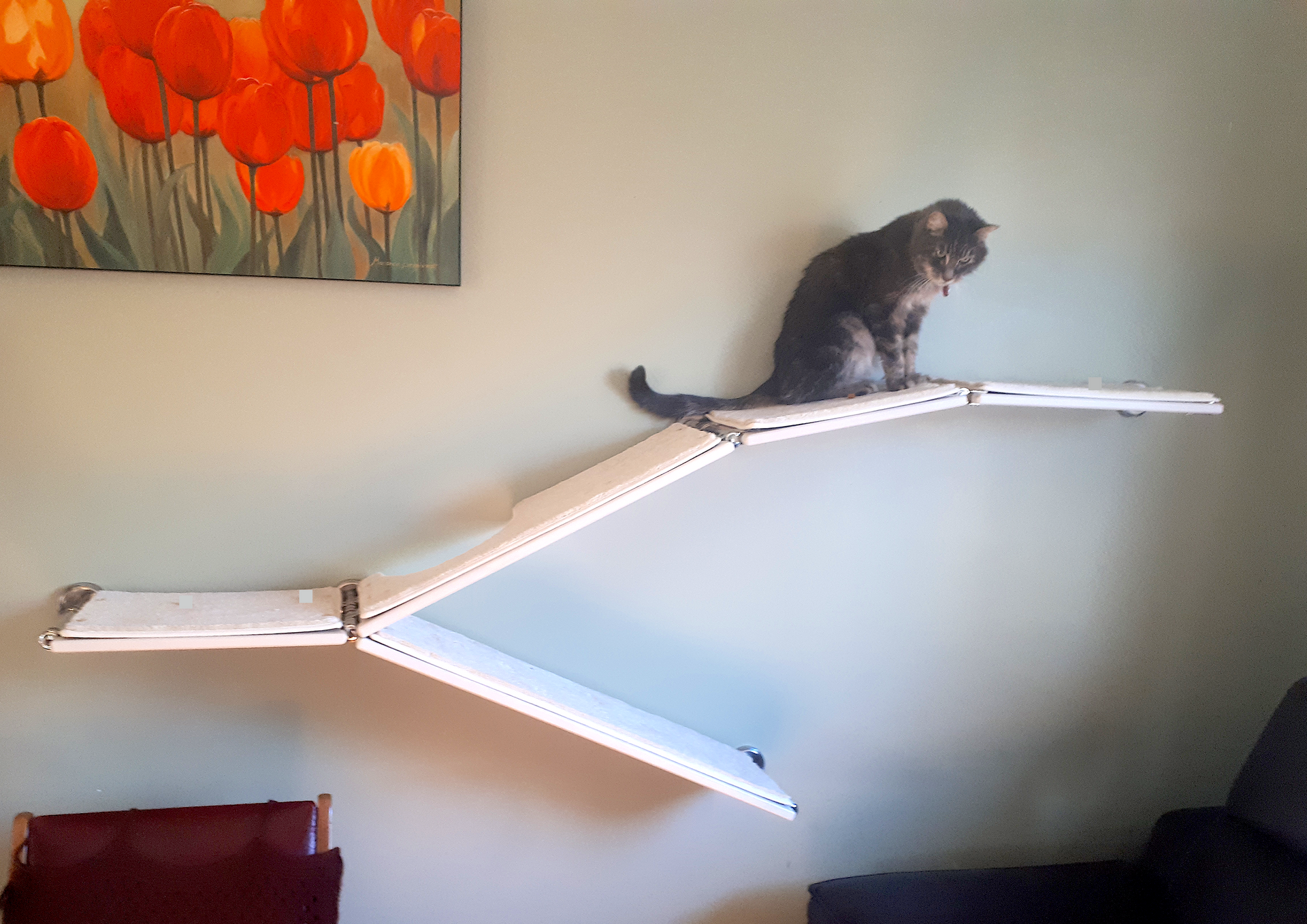 Grey tabby cat sitting on a white, angled wall-mounted cat shelf next to a painting of orange tulips.