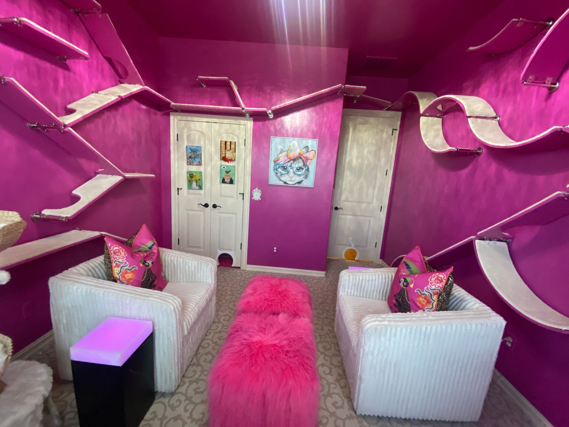 Modern cat furniture design by CatScapes in a pink-themed room with curved and straight cat shelves for feline exercise.