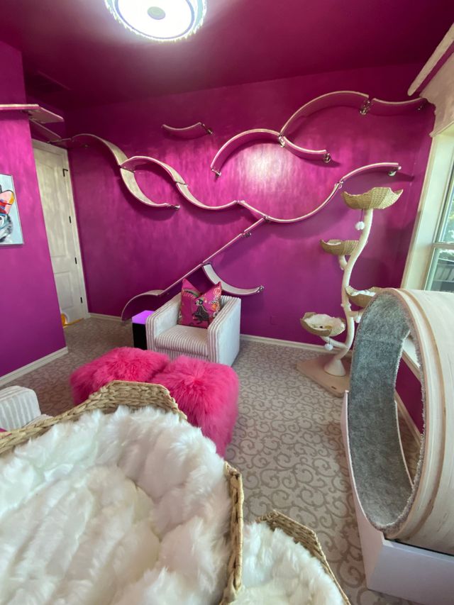 Extensive CatScapes modular cat wall system installed in a modern pink room, featuring multiple curved cat shelves.