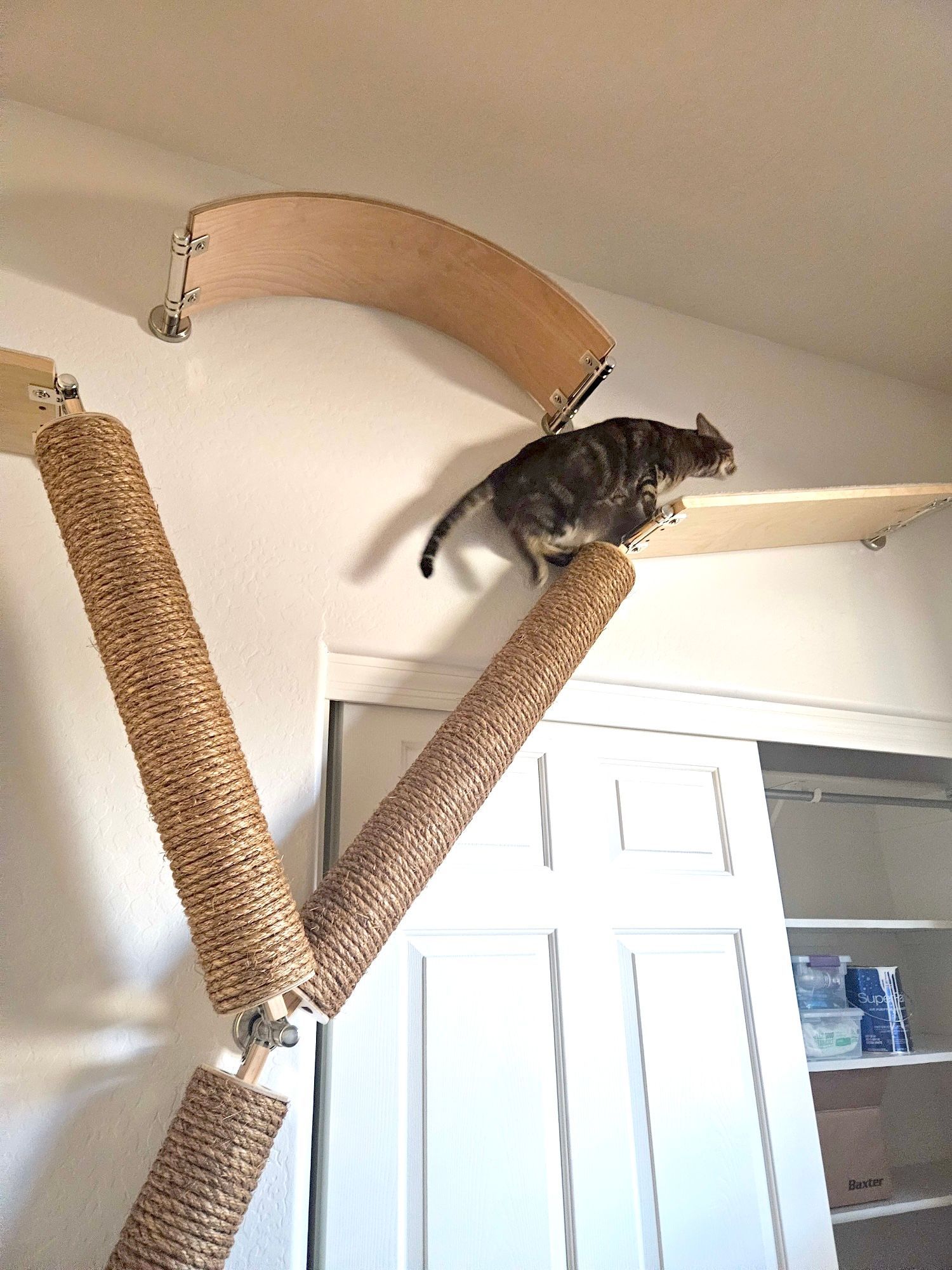 A black and white tuxedo cat climbing up a vertical carpeted cat pole connected to a wooden cat shelf mounted on wall.