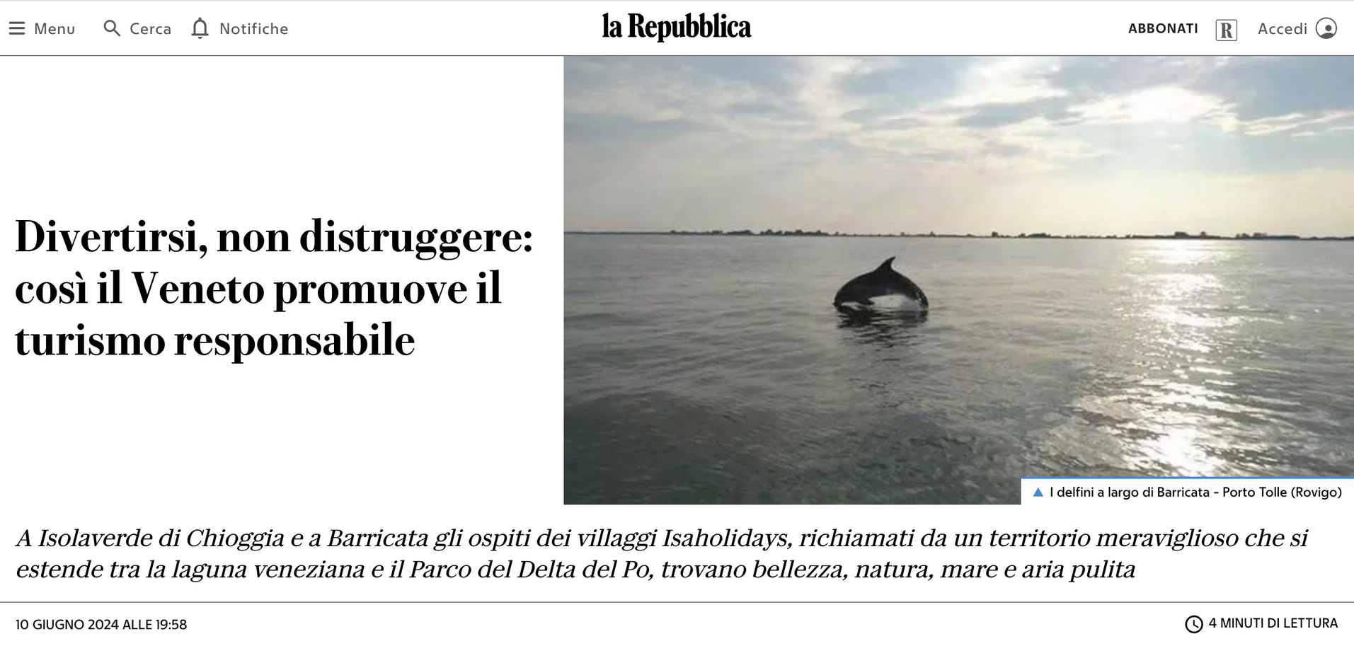 Delfino che emerge dall'acqua, titolo: 