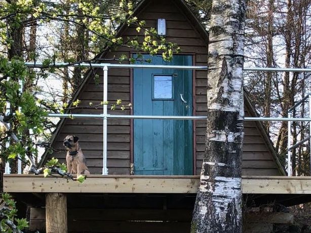Holiday timber wigwams at Gorsebank Holiday Village Dalbeattie Dumfries and Galloway Scotland