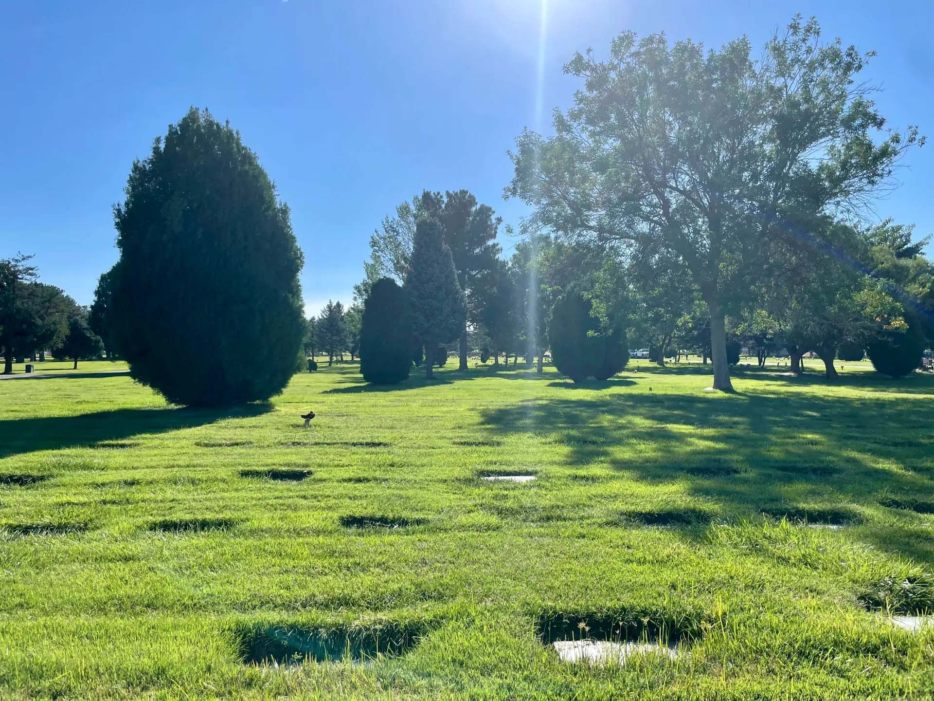 Lawn cemetery with green grass, trees, and bright sunlight. Flat headstones are visible.