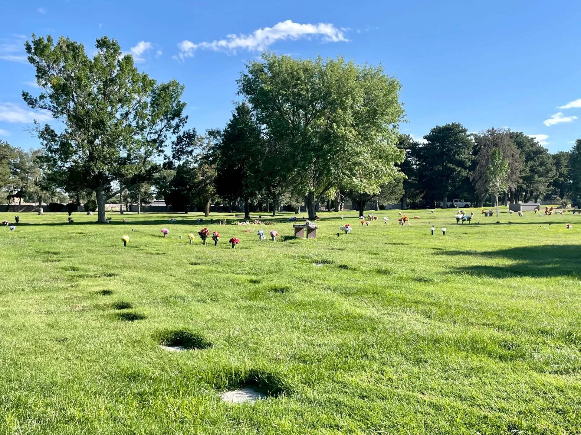 Grassy cemetery with headstones under trees on a sunny day.