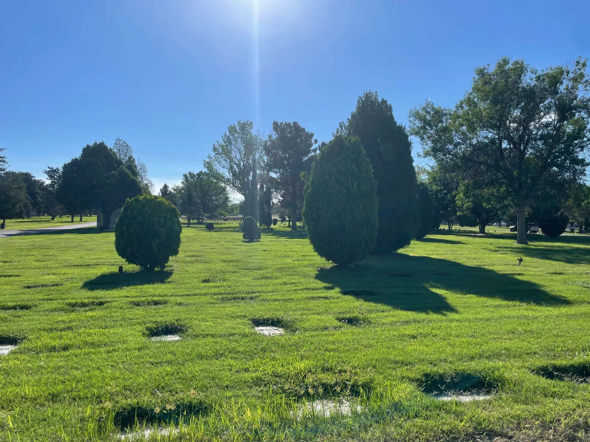 Lush green cemetery lawn with headstones, trees, and bright sun on a clear day.