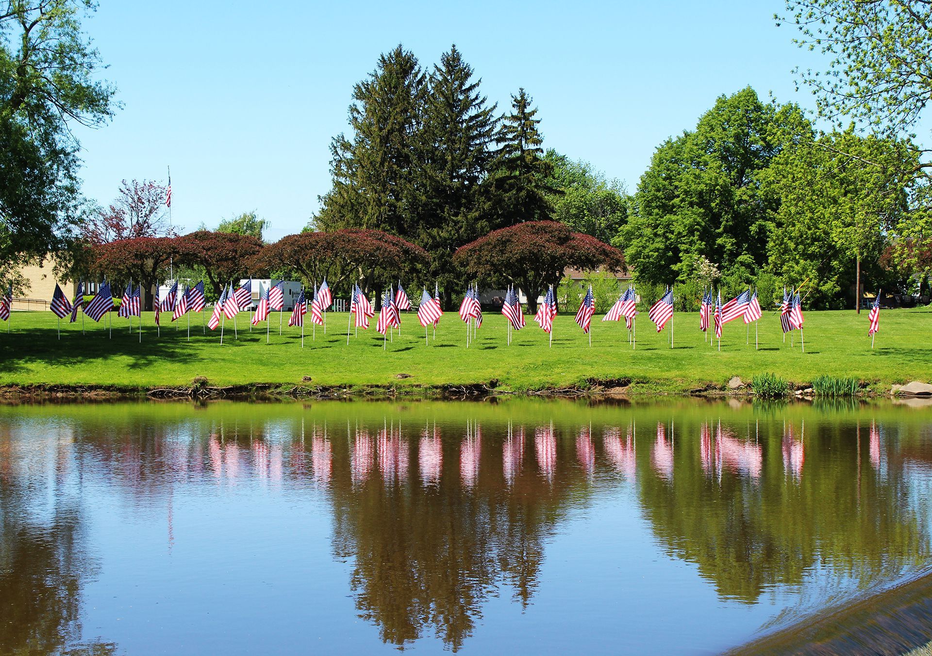 American flags line a grassy bank, reflected in calm water. Sunny day with trees in the background.
