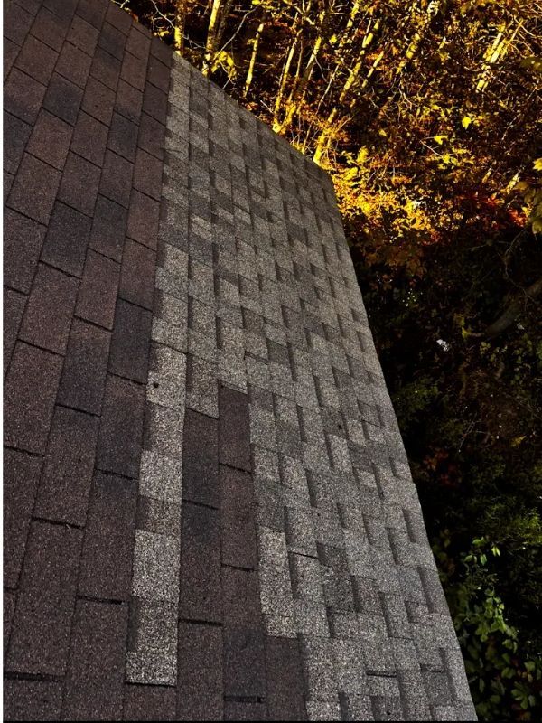 Roof shingles on a house at night, lit by warm yellow lights and framed by tree branches.