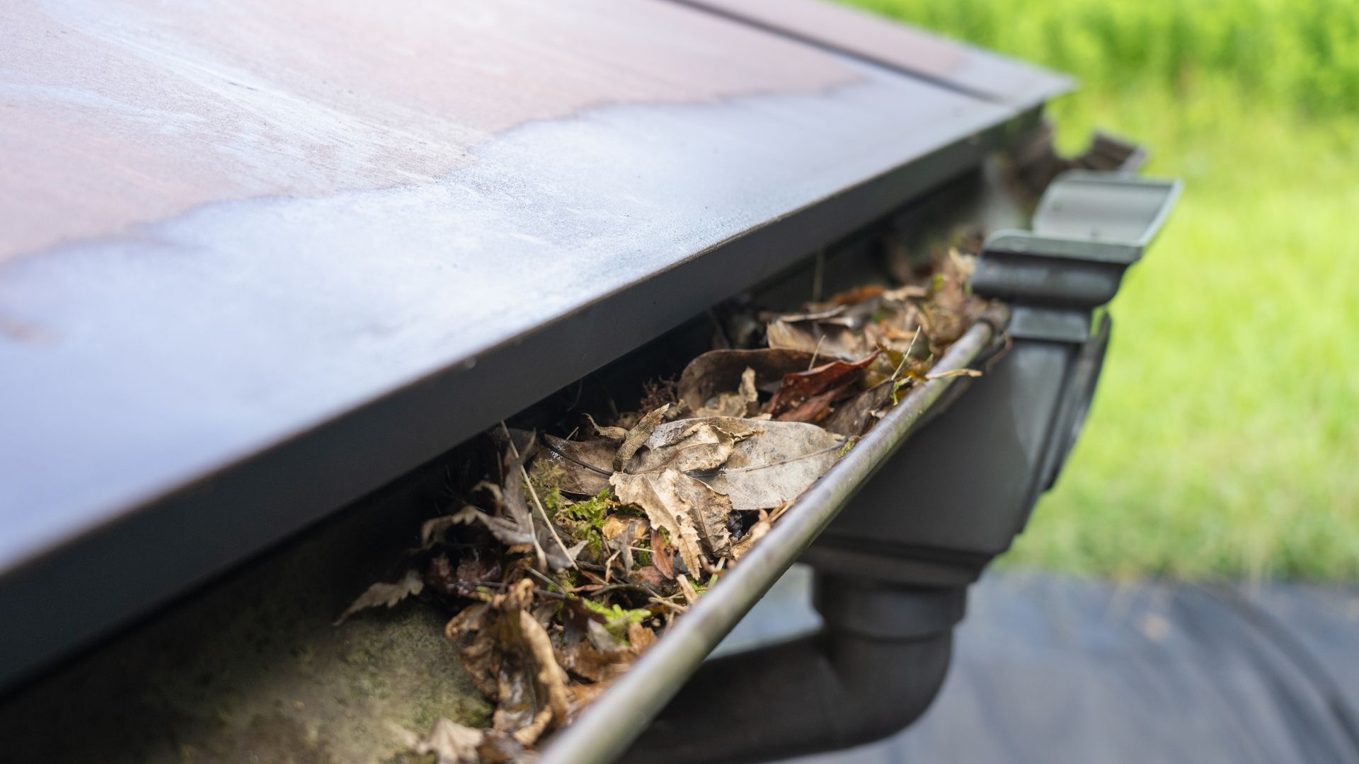 Leaves and debris clogging a roof gutter beneath a dark roof edge
