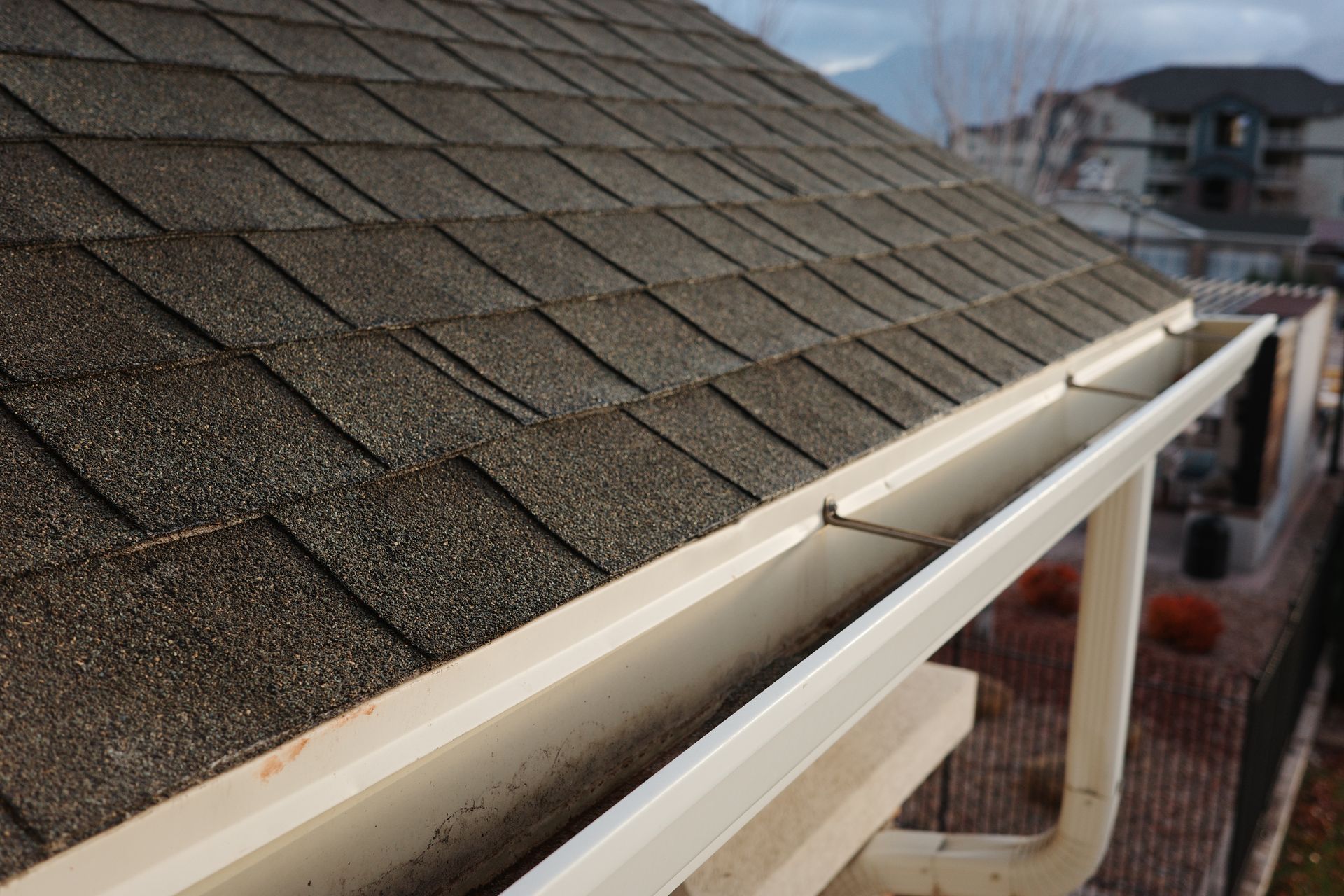 Gutter running along a brown shingled roof beside a house exterior