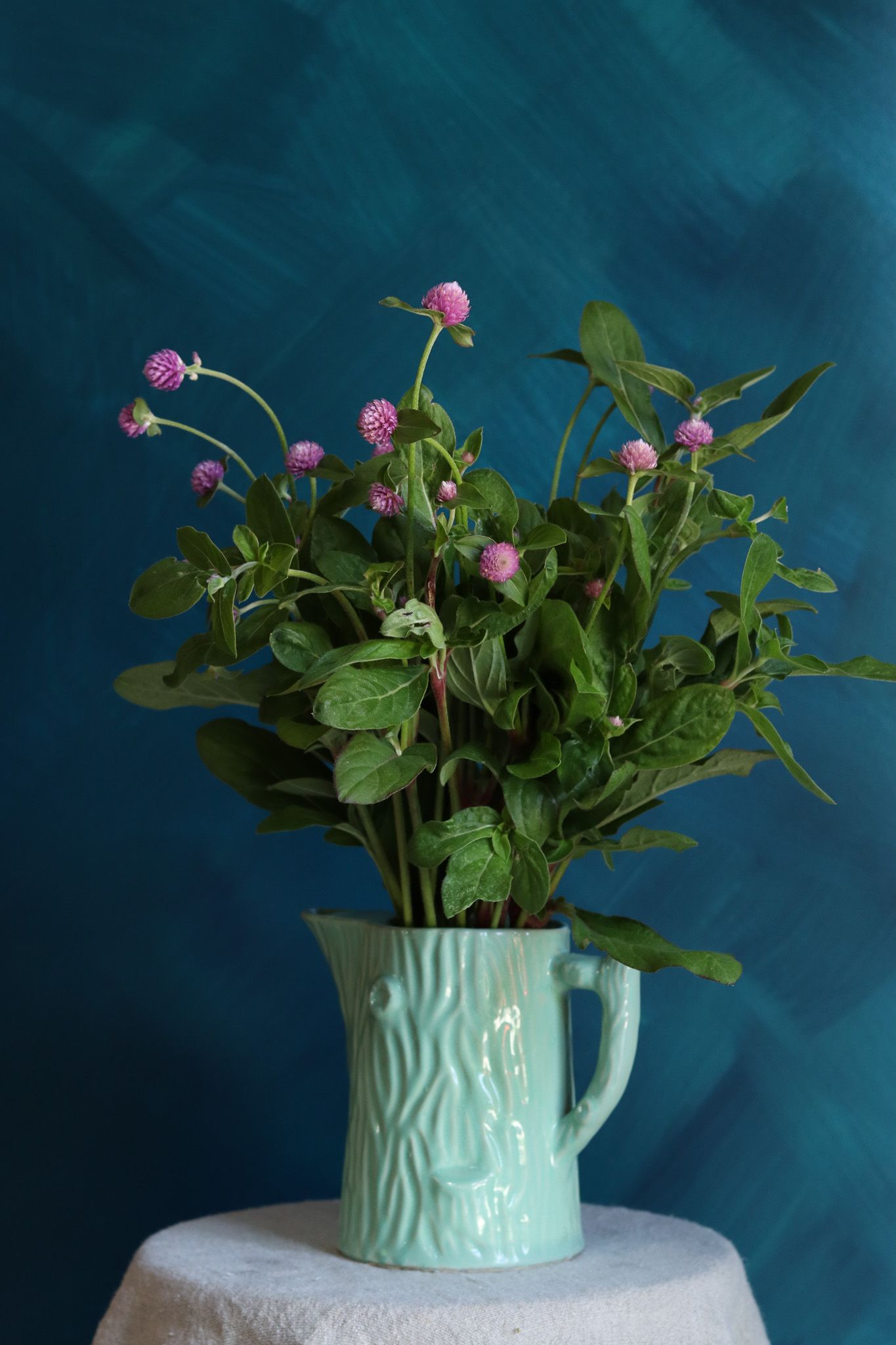 purple gomphrena cut flower locally grown in Lancaster Ohio