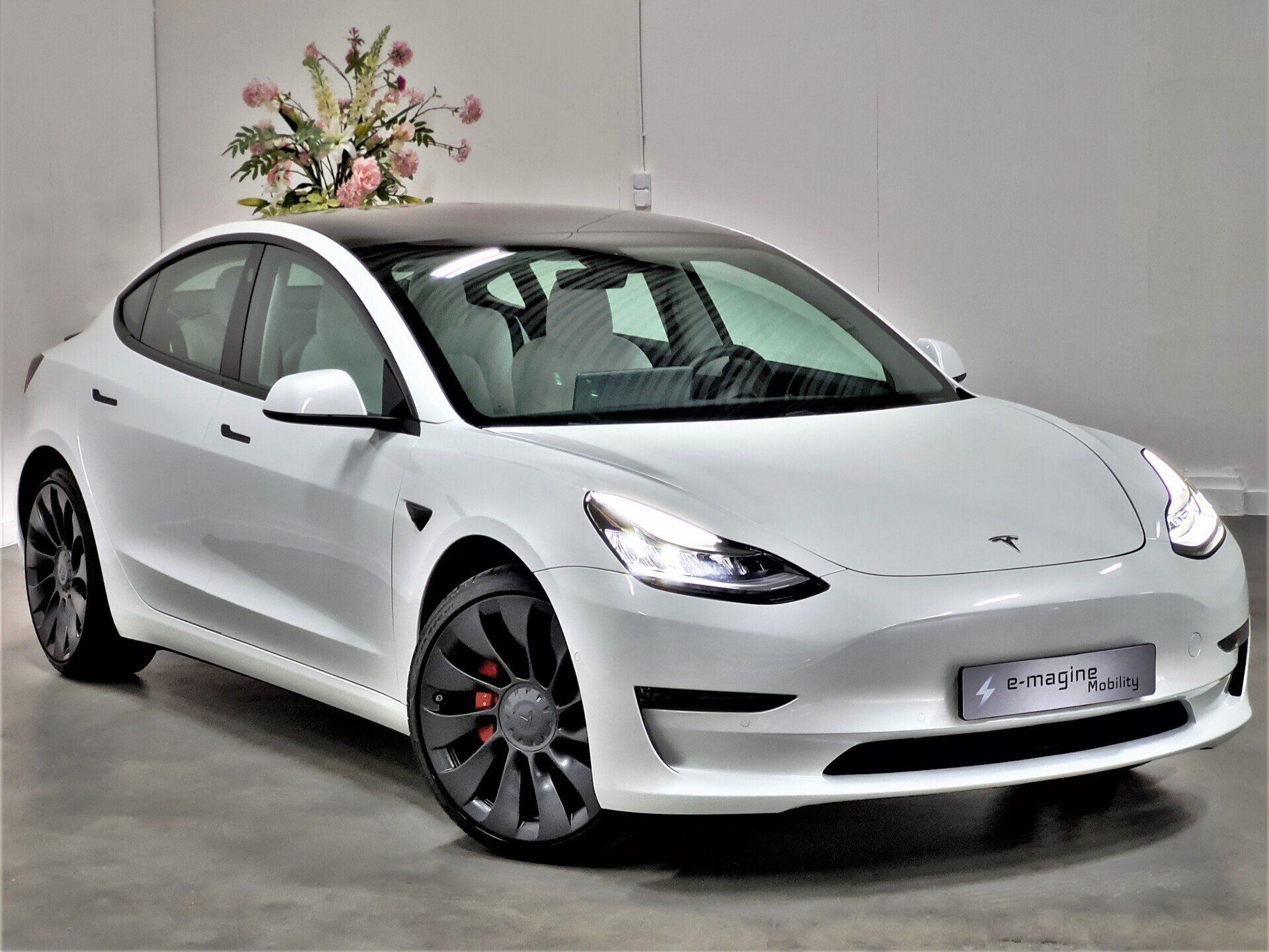 Tesla Model 3 Performance