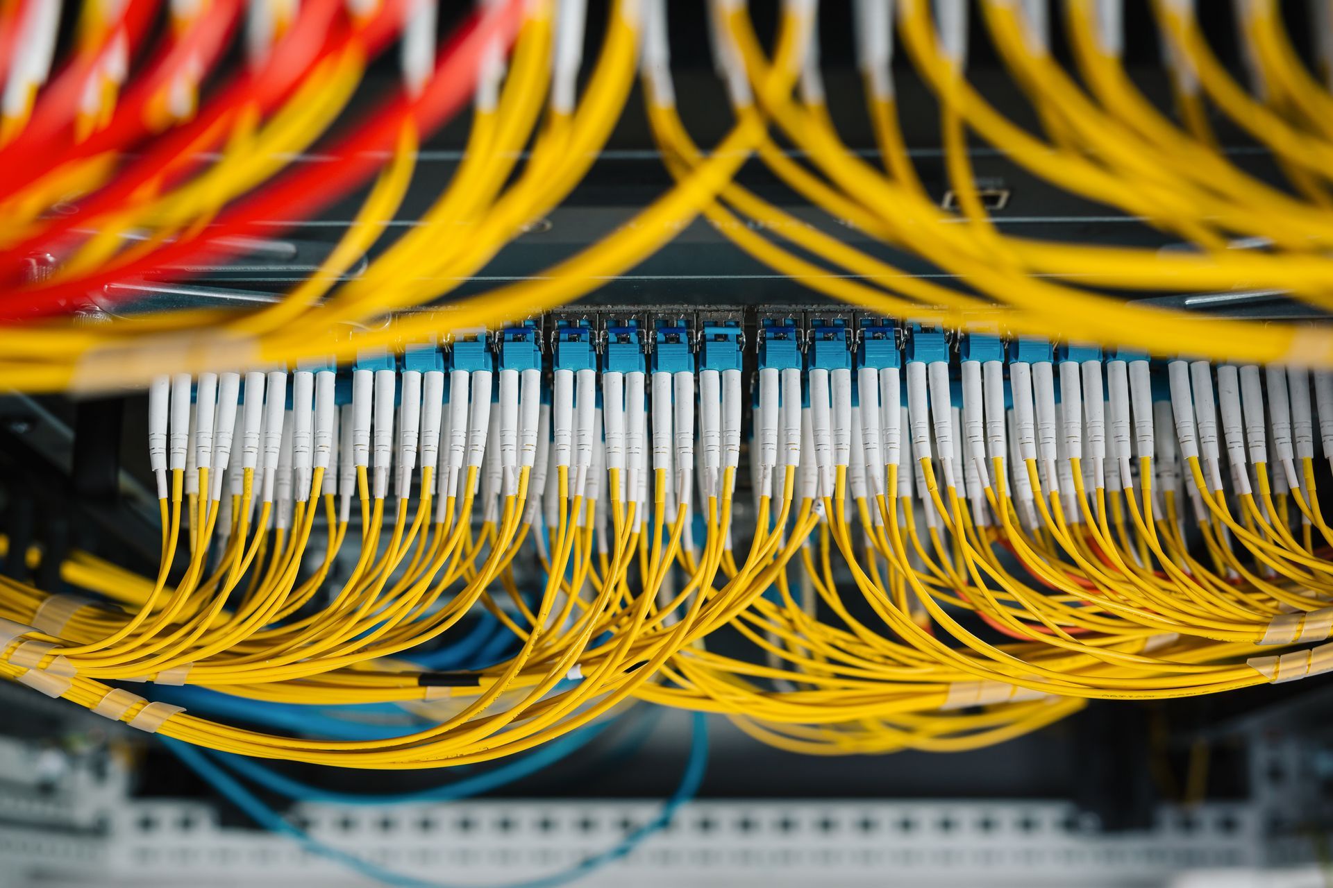 Yellow fiber optic cabling inserted into network equipment