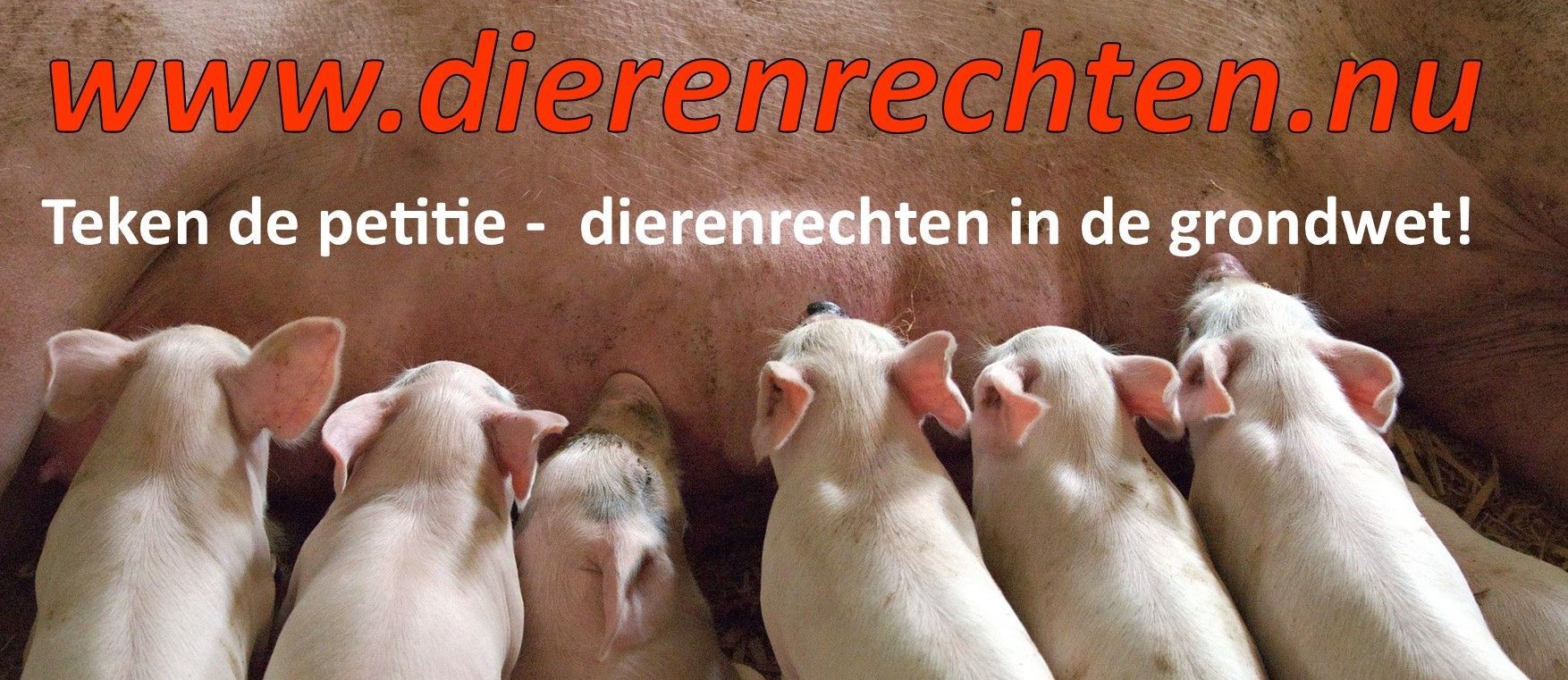 Teken de petitie: DIERENRECHTEN IN DE GRONDWET