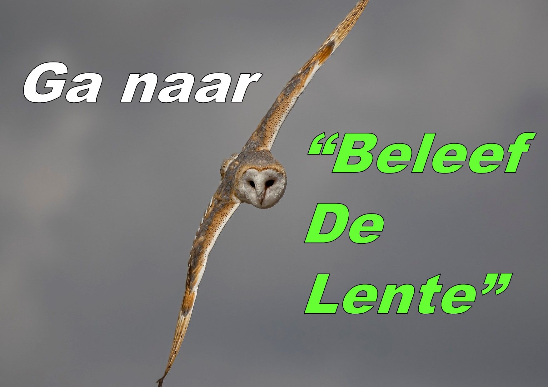 Ga naar de website: Beleef de Lente van de Vogelbescherming