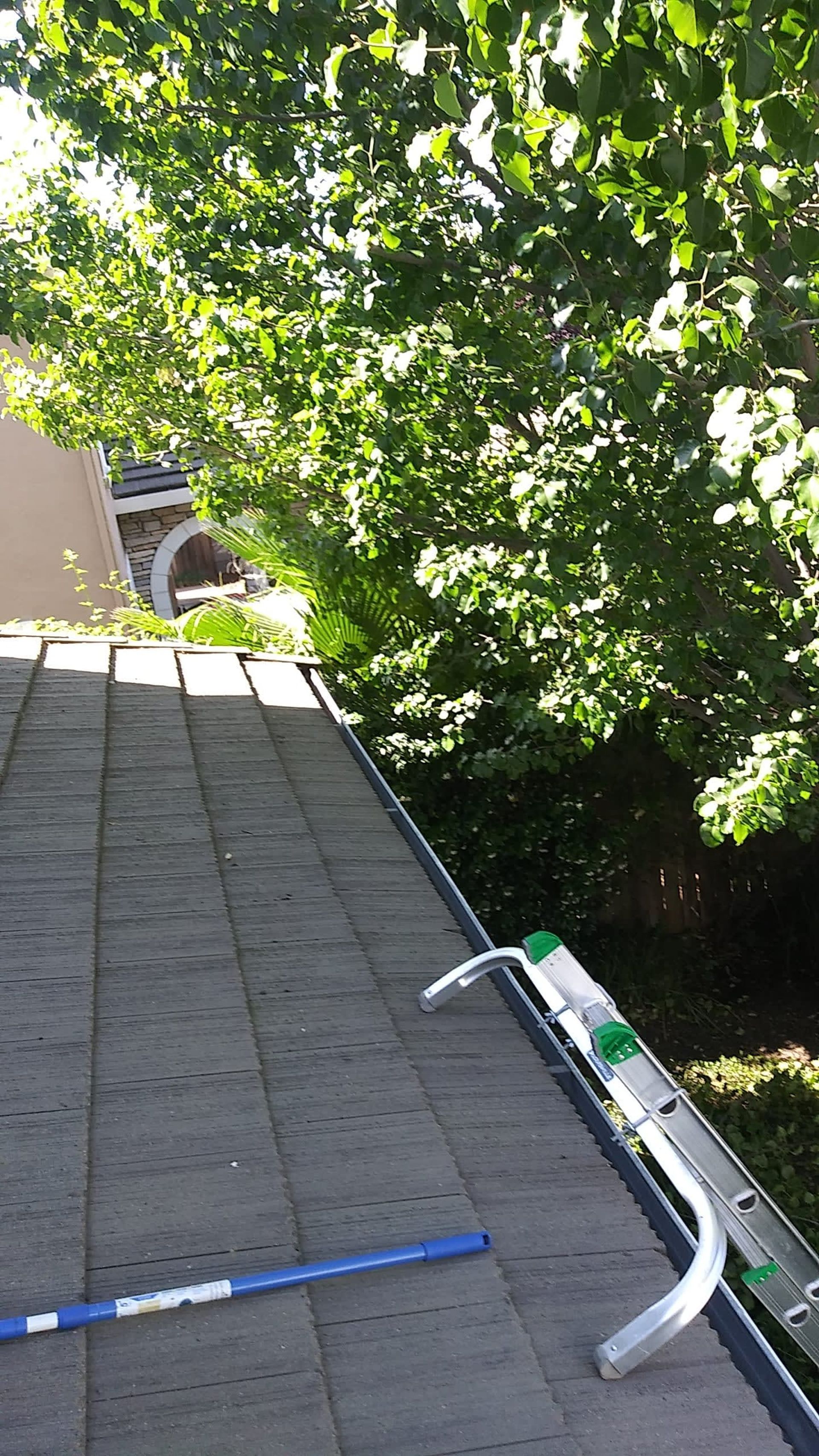 Gallery | Smith Window Washing and Gutter Cleaning