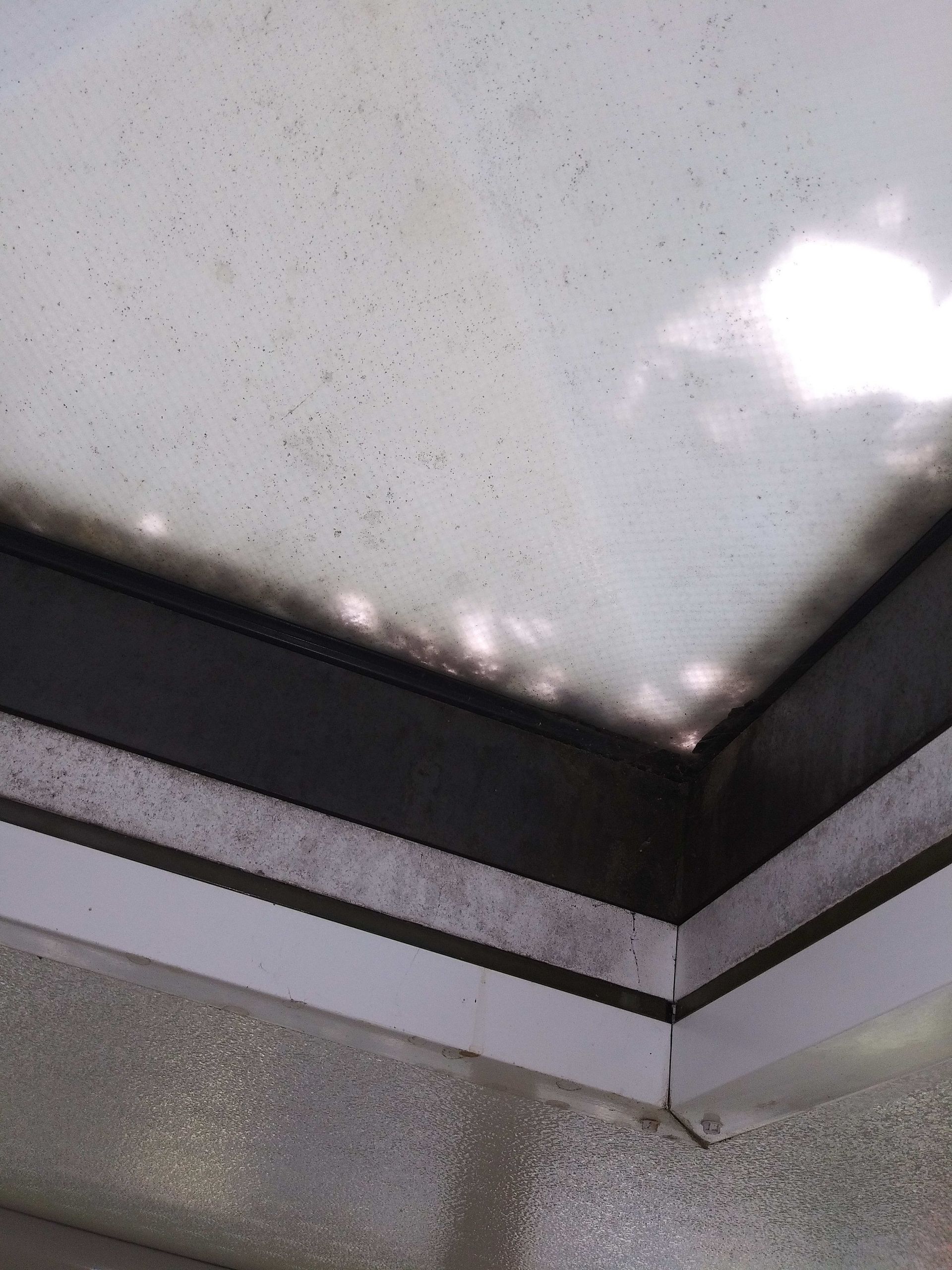 White ceiling with black frame, showing mold and water stains near a window.