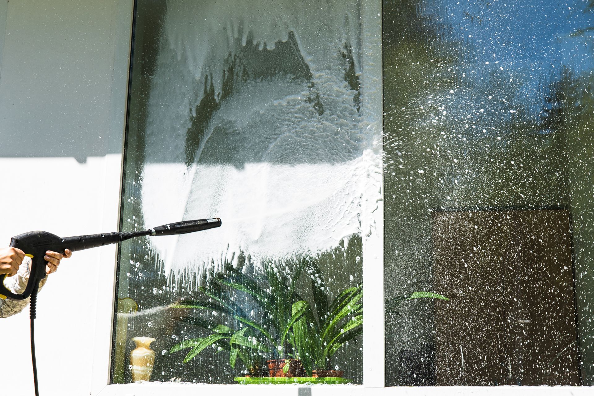 Person using a squeegee to clean a large glass window, with plants visible inside and sunlight reflecting outside.