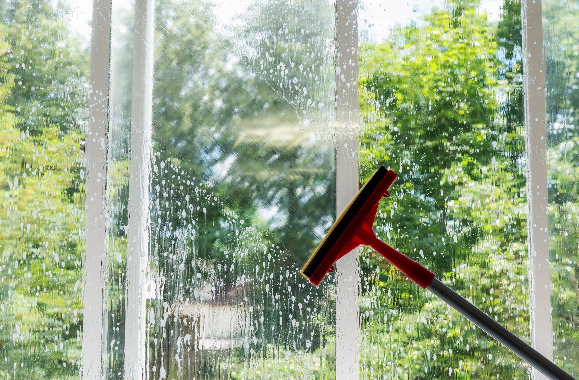 Red squeegee cleaning a window with green trees visible outside.