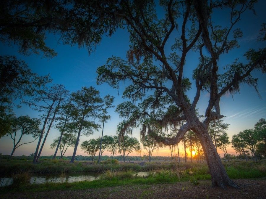 Sunset over a grassy field with silhouetted trees and a bright orange sky at Grand Oaks at Ogeechee River in Savannah, GA.