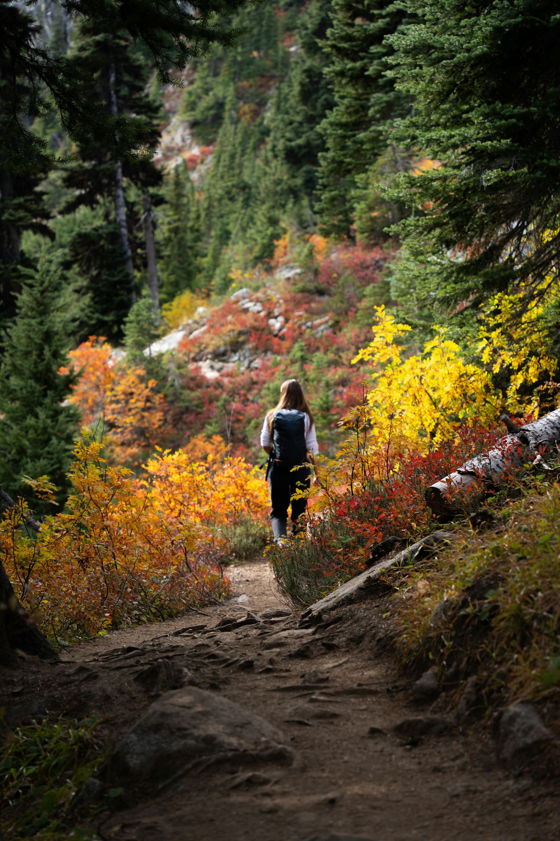 A woman is walking down a trail in the woods.