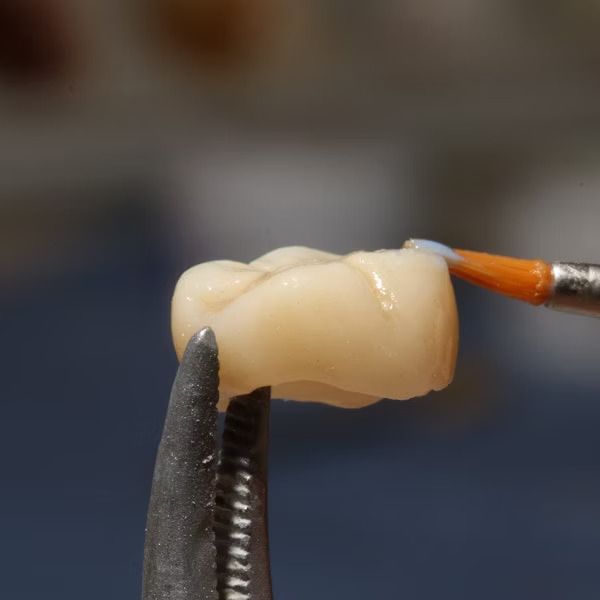 A close up of a tooth being painted with a brush.