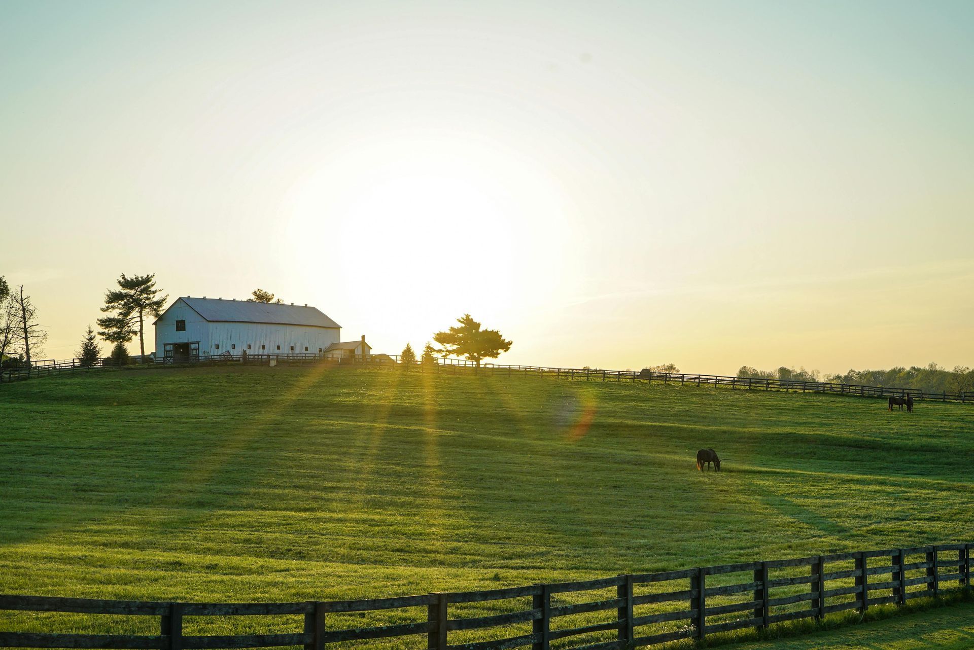 Sunrise over a green field with a white barn, fence, and grazing horses.