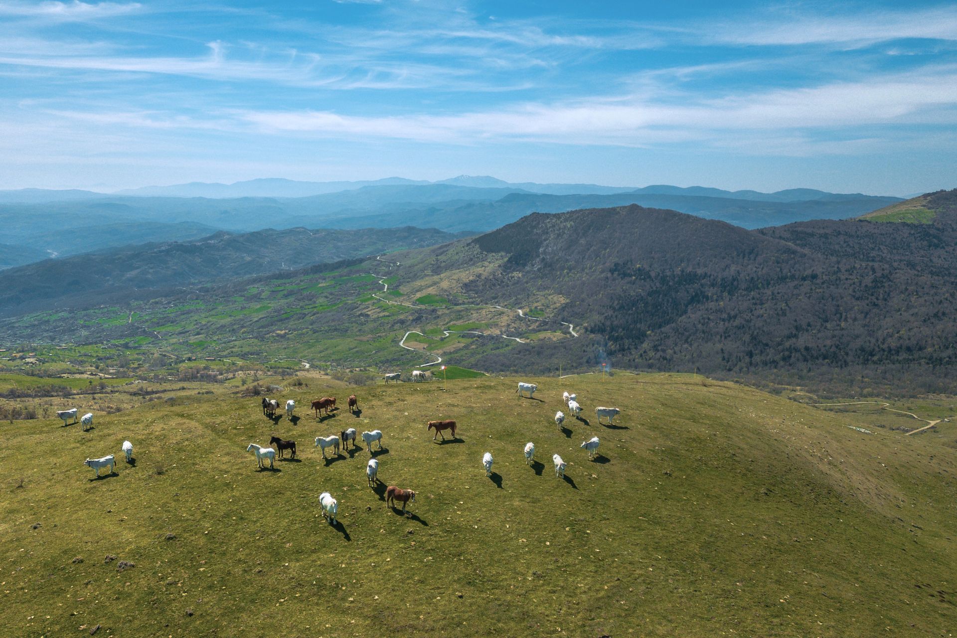 Tra Abruzzo e Molise, i tratturi un’esperienza perfetta per chi cerca natura, cultura, e cammini