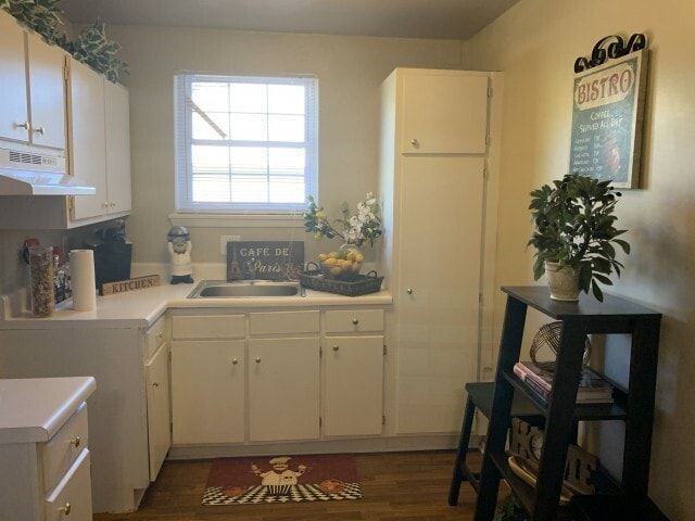 Small white kitchen with cabinets, sink, window, potted plant, and black shelving unit.