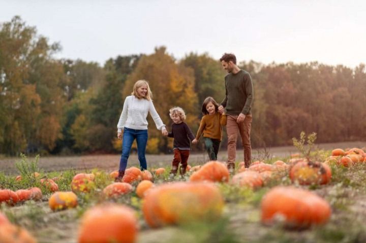 A family is walking through a pumpkin patch holding hands.