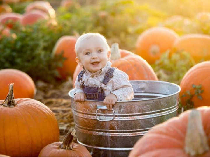 A baby is sitting in a metal bucket in a pumpkin patch.