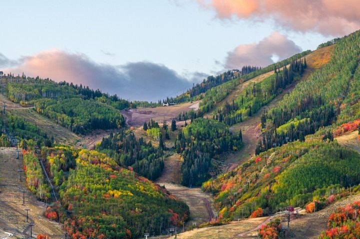 A mountain covered in trees with a ski lift in the background.