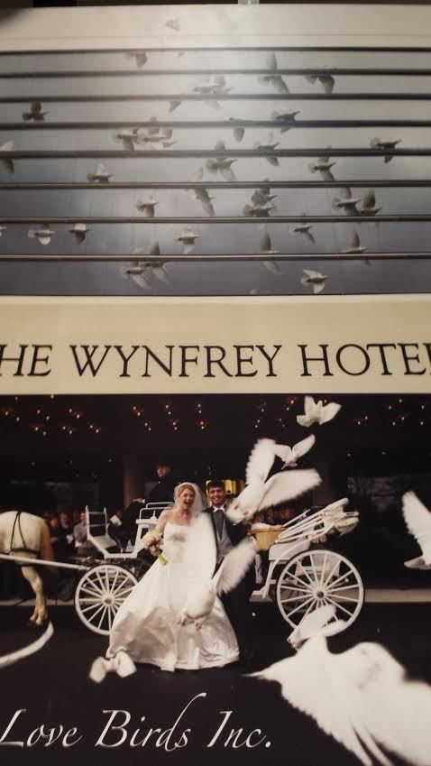 Wynfrey Hotel wall with birds above a black-and-white wedding carriage photo labeled “Love Birds Inc.”