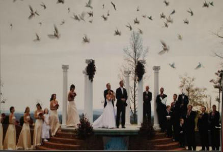 Outdoor wedding ceremony with bride, groom, and guests on a stage beneath flying birds