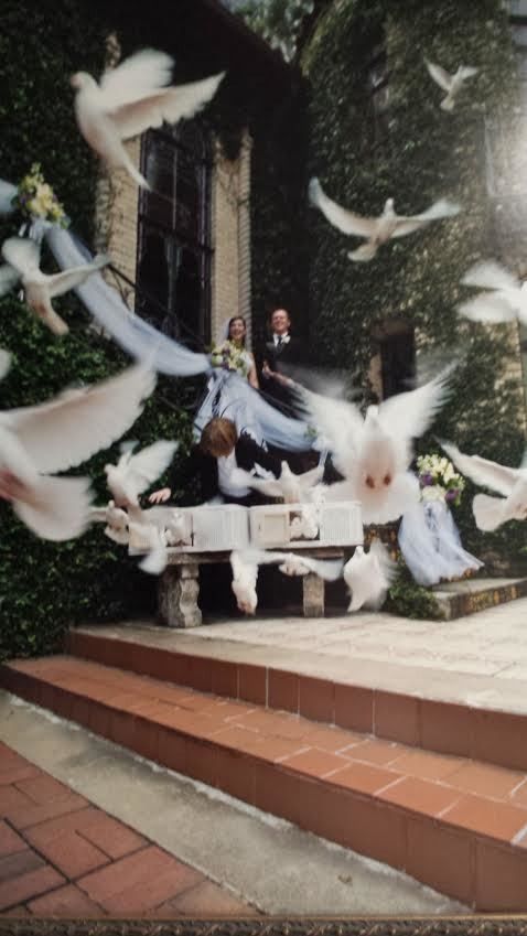 White doves surround a woman on a white bench in a garden courtyard with stairs and a dark doorway.