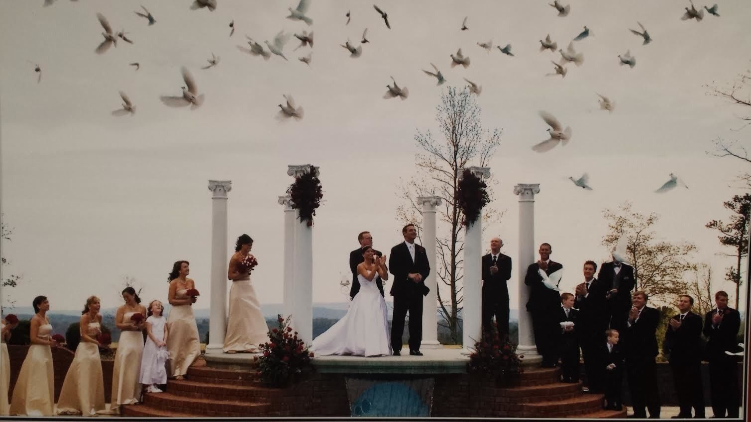 Outdoor wedding ceremony on a decorated stage with bride, groom, bridal party, and guests under birds in the sky