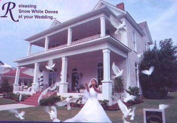 Bride in a white gown in front of a large white house, with text reading “Releasing White Doves at your Wedding.”