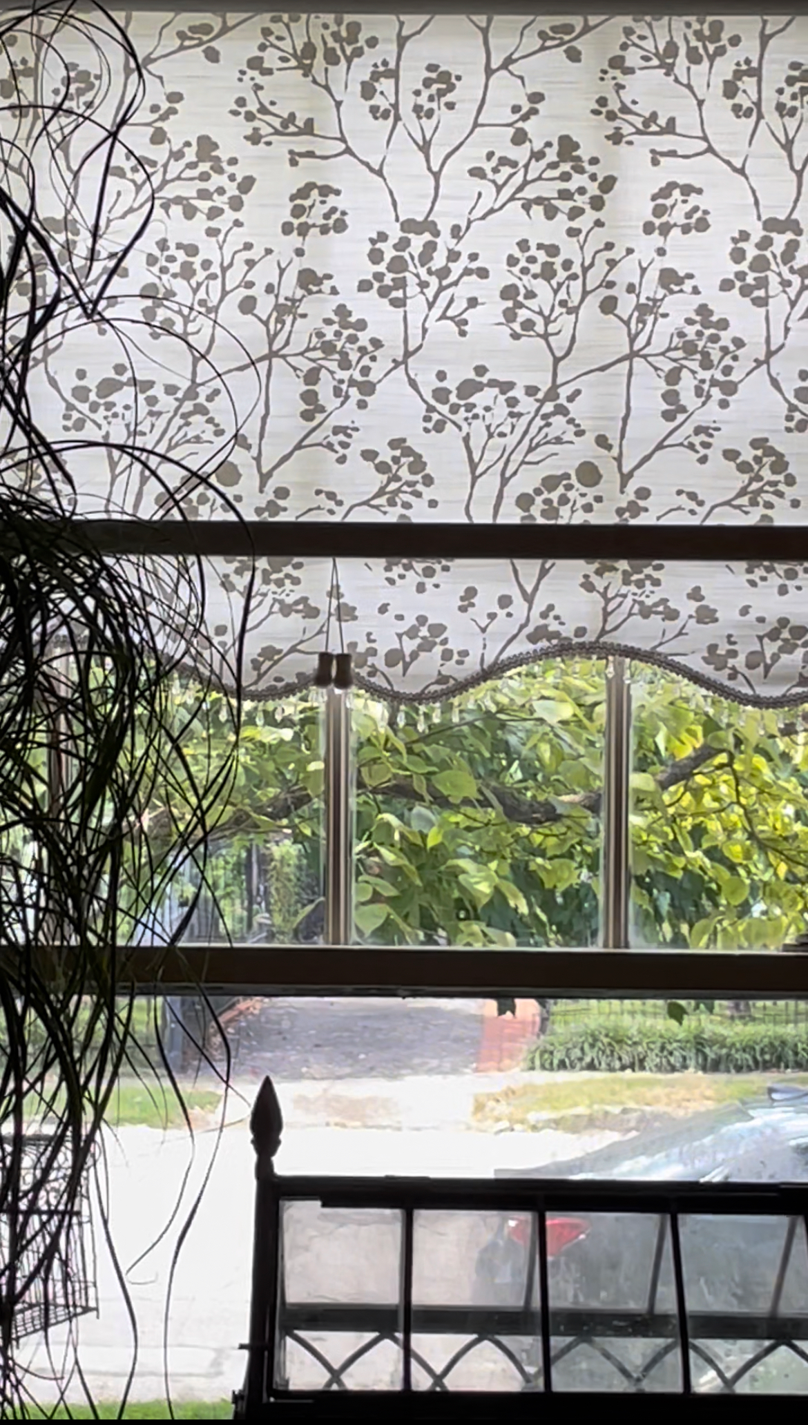 Window with floral patterned sheer curtains, overlooking a green yard.