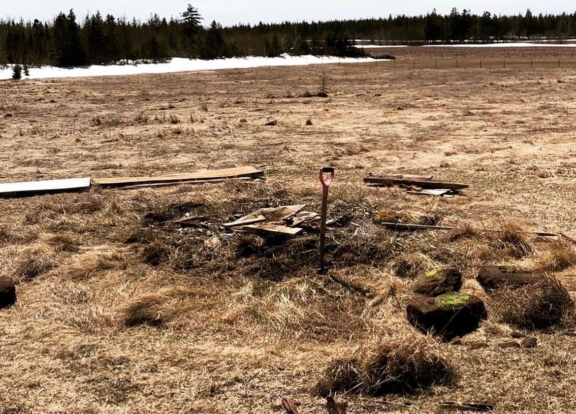 An open field with dried grass, a fire pit, and a shovel. Snow patches and trees are in the background.