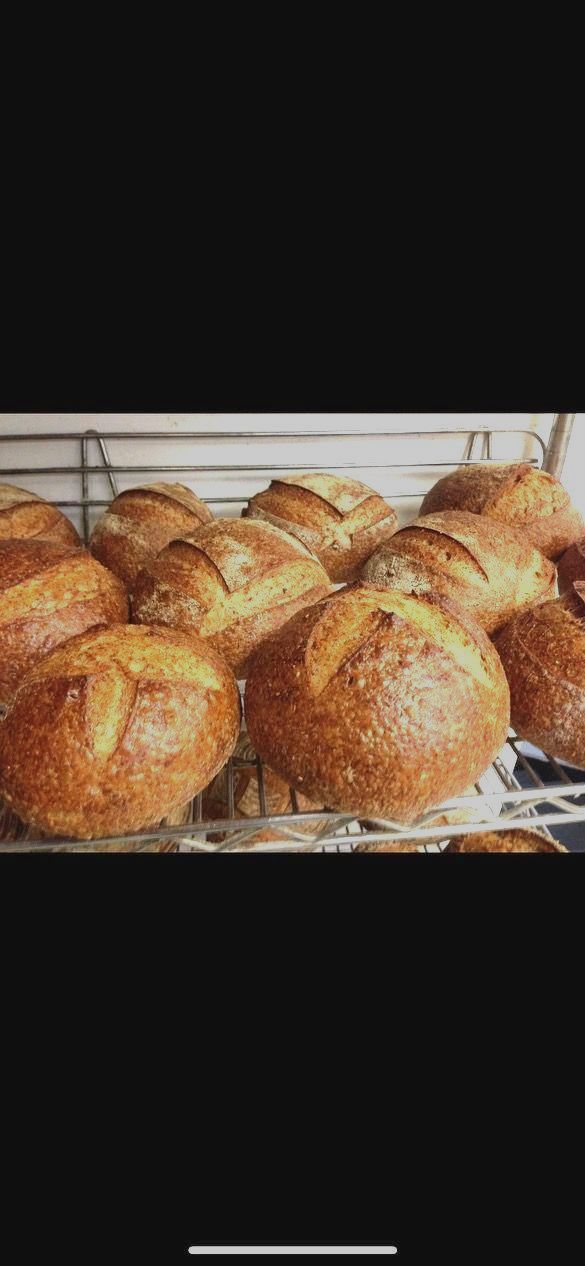 Freshly baked bread rolls on a wire rack.