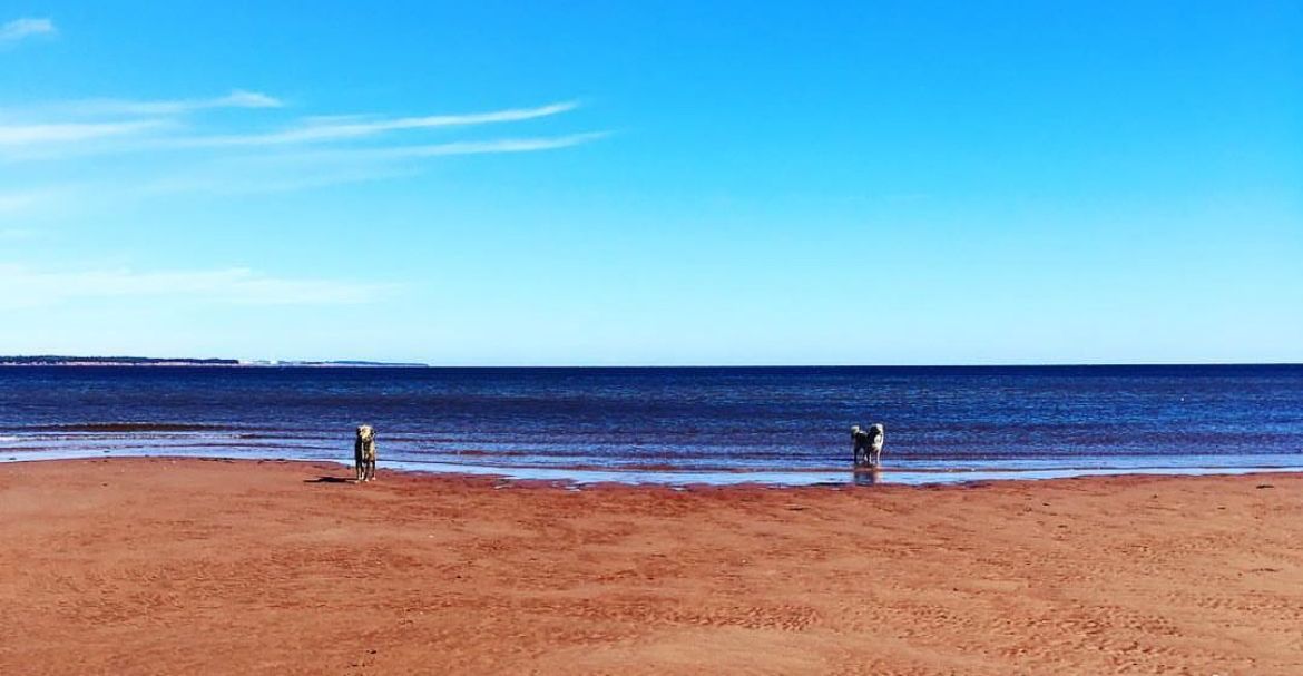Sandy beach, blue water, and sky. Two small figures stand at the water's edge on a sunny day.